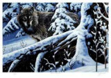 Silent Snowfall