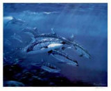 Pacific Whitesides