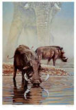 Tsavo Waterhole