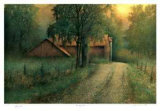 Country Lane