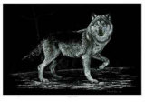 Wolf on Alert
