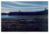 Blue Morning
