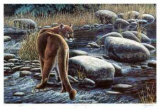 Cougar Crossing