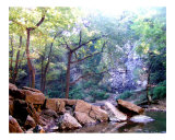Outcrop