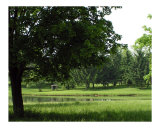 Homestead Pond
