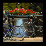 Amsterdam  Holland