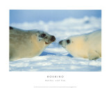 Mother and Pup