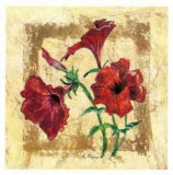Petunia