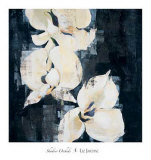 Shadow Orchids II