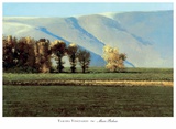 Yakima Vineyards