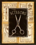 Grooming Scissors