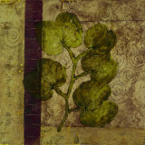 Nature Study IV