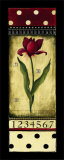 Dutch Tulips I