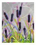 Cattails