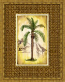 South Palm IV