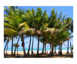Puerto Rican Retreat