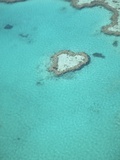 Aerial View of the Great Barrier Reef  Queensland  Australia