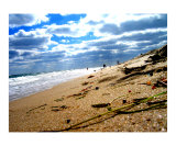 Crab's Eye View