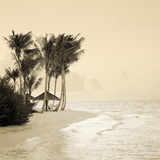 Tropical beach