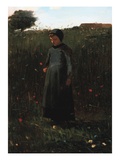The Flowers of the Field
