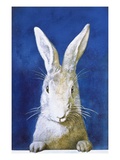 Magazine Cover Depicting a Rabbit by Frank S Guild