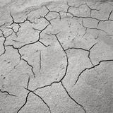 Cracked Desert Mud