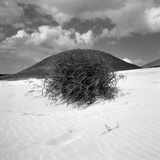Hills Behind Cluster of Beach Grass