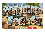 Greetings from Petrified Forest  Arizona