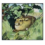 Illustration of a Resting Rabbit by Edwin Noble