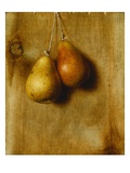 Hanging Pears