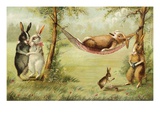 Postcard of Relaxing Rabbits