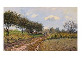 A Path in the Country