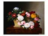 Still Life of Roses