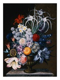 An Arrangement of Tulips  Narcissi  Auriculas  Poppies  Lilies  Columbines  Ranunculas  and Other F