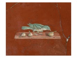 Detail of Roman Fresco Series at Oplonti Villa
