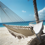 Hammock on a Beach
