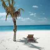 Palm Tree and Beach Chair