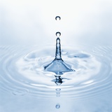 Water Droplet and Ripple