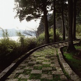 A Stone Footpath