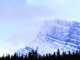 Snow-Covered Mountain Above Tree Line