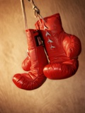 Red Boxing Gloves