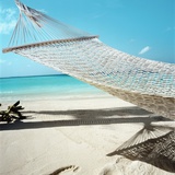 Hammock at the Beach