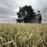 A Dilapidated Building in a Field
