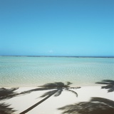 Shadows of Palm Trees on Beach