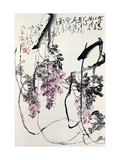 Wisteria
