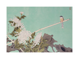 Chrysanthemum and Bird