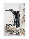 Eagle's Ambition