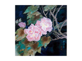 Cotton Roses