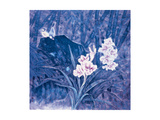 Birds and Flowers at Night