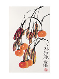 Persimmons